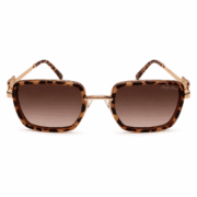 Luxury Edition модел 858 - Image 2